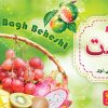 بنر میوه سرا