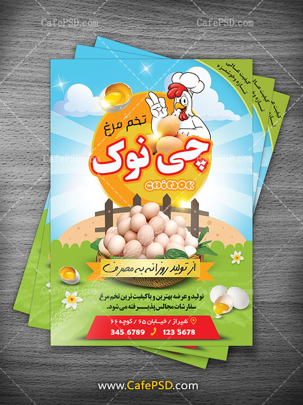 تراکت فروشگاه تخم مرغ
