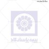 سربرگ بیمه پاسارگاد