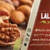 کارت ویزیت آجیل