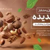 تراکت لایه باز آجیل فروشی