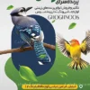 تراکت پرنده فروشی بصورت لایه باز