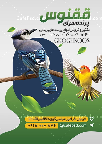 تراکت پرنده فروشی بصورت لایه باز