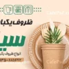 طرح بنر ظروف یکبار مصرف
