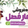 طرح بنر میوه فروشی
